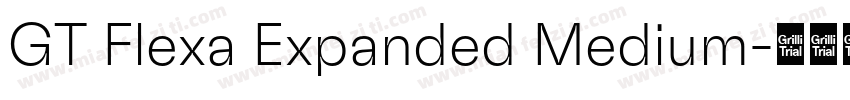 GT Flexa Expanded Medium字体转换
